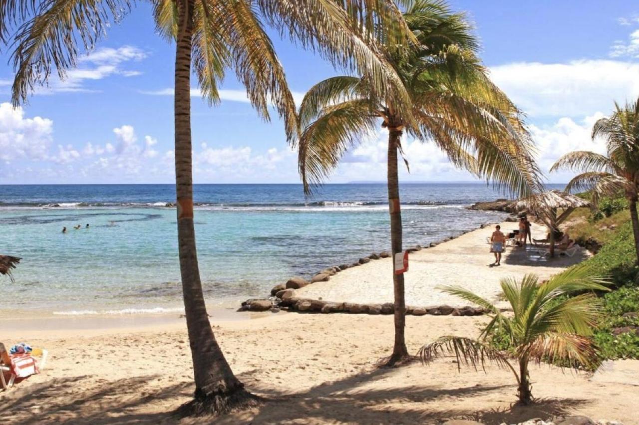 Archipel - Cocon D'Une Architecte En Guadeloupe Saint-Francois  Eksteriør billede